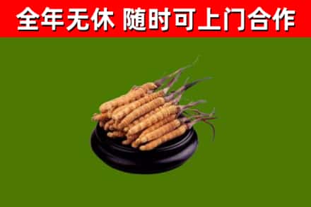 雁峰烟酒回收冬虫夏草.jpg